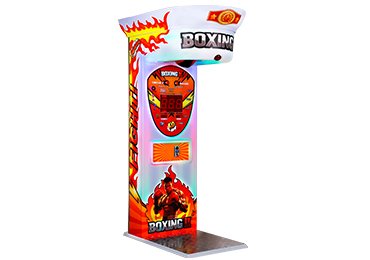 Blister Packaging Boxing Machine